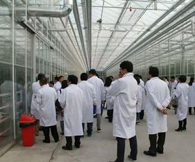 永通科技亮相京津冀，共探蔬菜工廠化生產(chǎn)新路徑